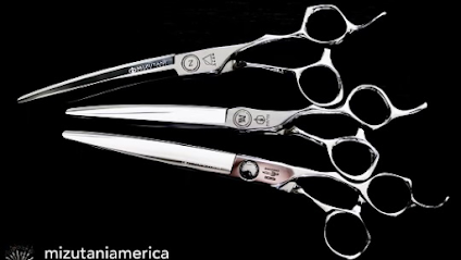 Scissor Doctor, Las Vegas