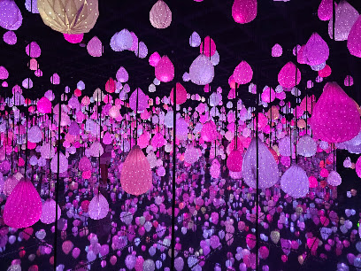 Arte Museum Las Vegas